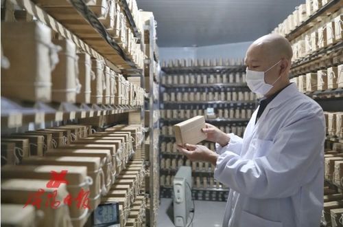 搶抓陜茶振興機(jī)遇 咸陽茯茶“鏈”動(dòng)產(chǎn)業(yè)興